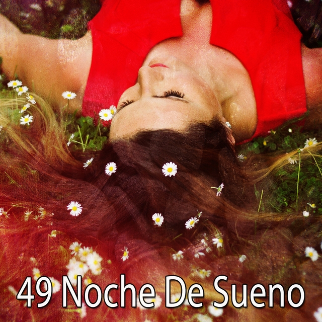 Couverture de 49 Noche De Sueno