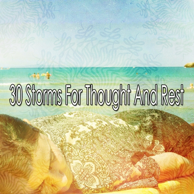 Couverture de 30 Storms for Thought and Rest