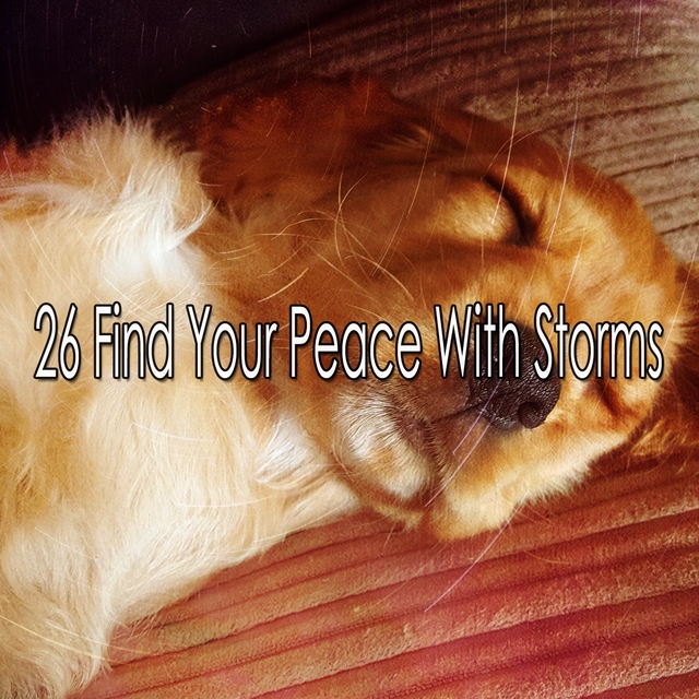 26 Find Your Peace with Storms