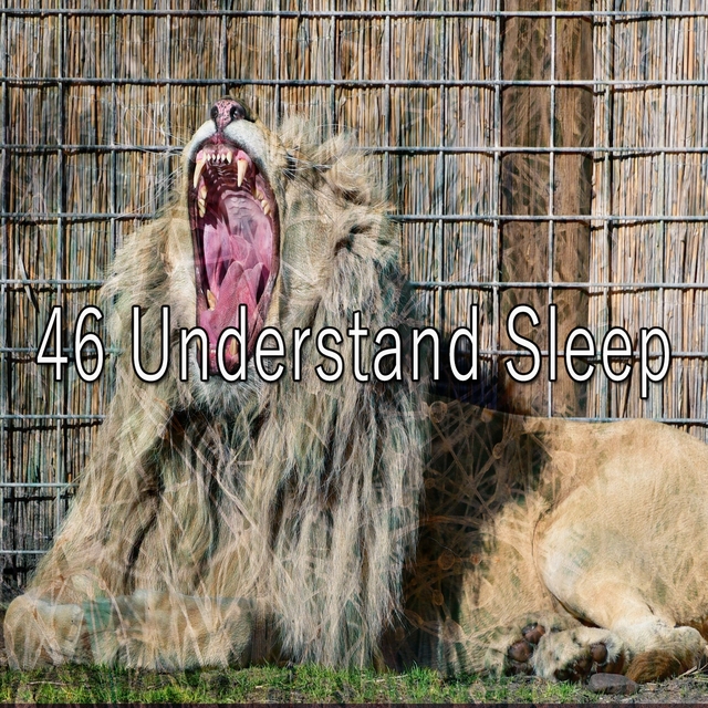 46 Understand Sle - EP