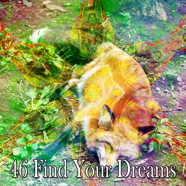 46 Find Your Dreams