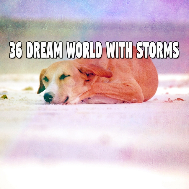 Couverture de 36 Dream World with Storms