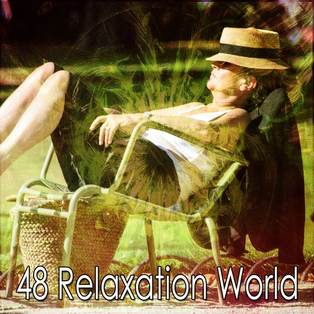 Couverture de 48 Relaxation World