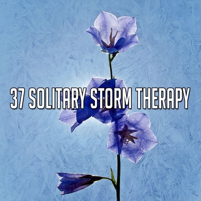 Couverture de 37 Solitary Storm Therapy