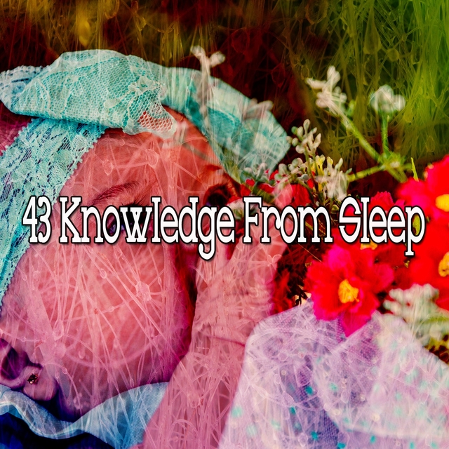 Couverture de 43 Knowledge from Sle - EP