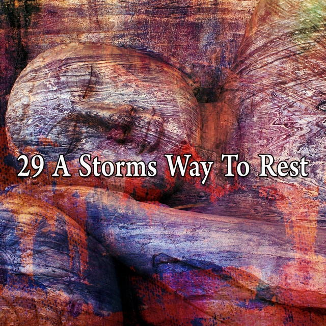 Couverture de 29 A Storms Way to Rest