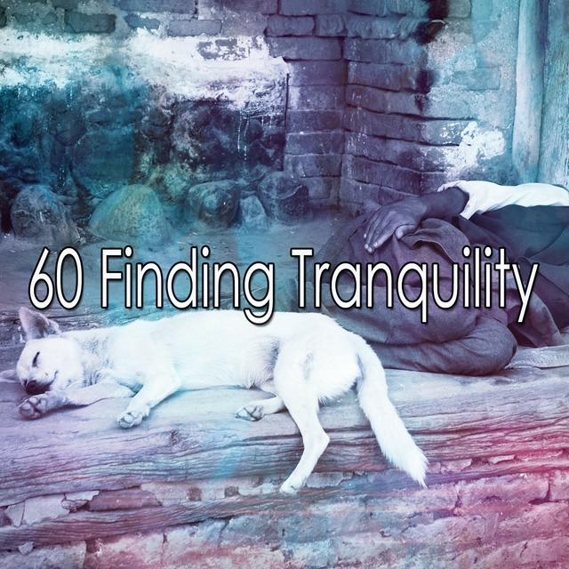 Couverture de 60 Finding Tranquility