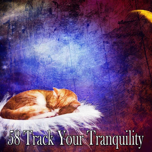 Couverture de 58 Track Your Tranquility