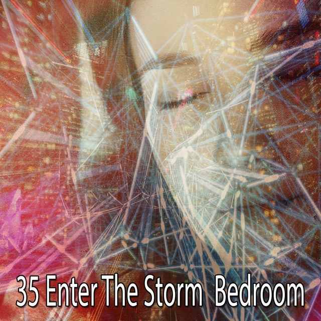 Couverture de 35 Enter the Storm Bedroom