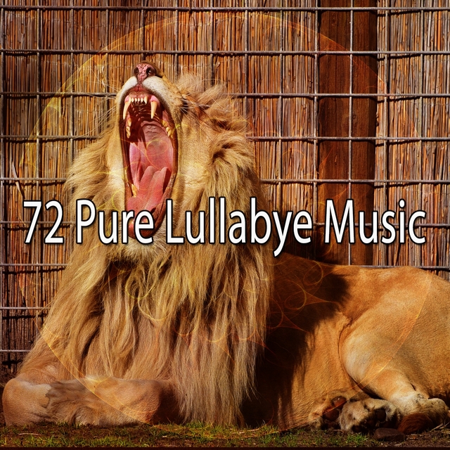 72 Pure Lullabye Music