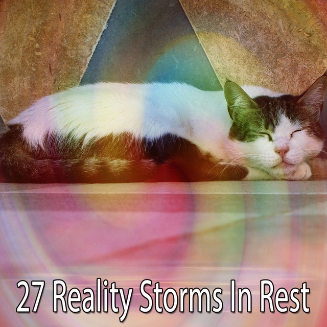 27 Reality Storms in Rest