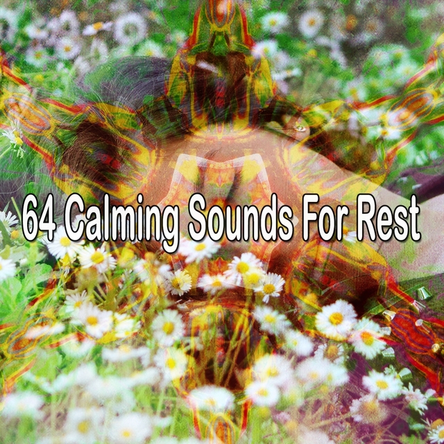 64 Calming Sounds for Rest