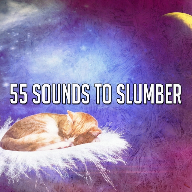 Couverture de 55 Sounds to Slumber