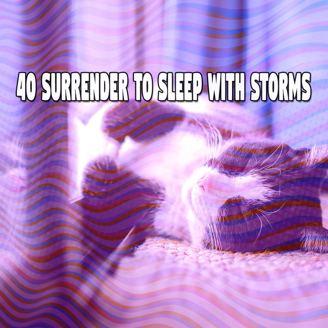 40 Surrender to Sleep with Storms