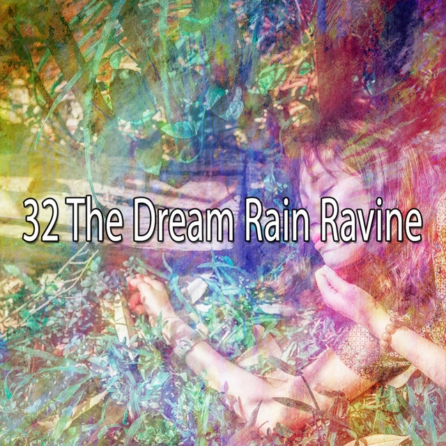 Couverture de 32 The Dream Rain Ravine