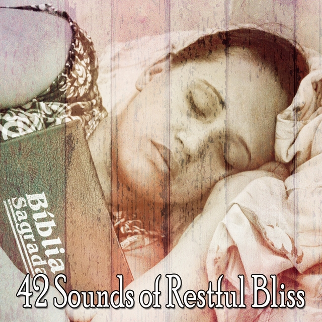 Couverture de 42 Sounds of Restful Bliss