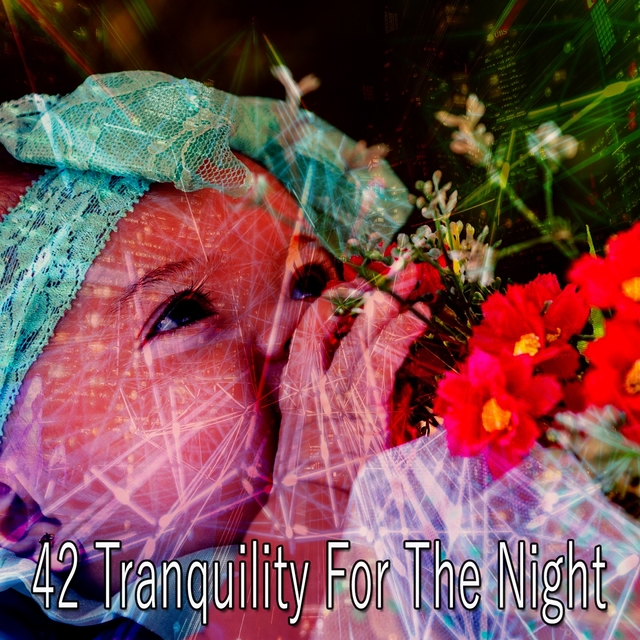 Couverture de 42 Tranquility for the Night