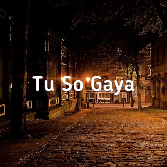 Tu So Gaya