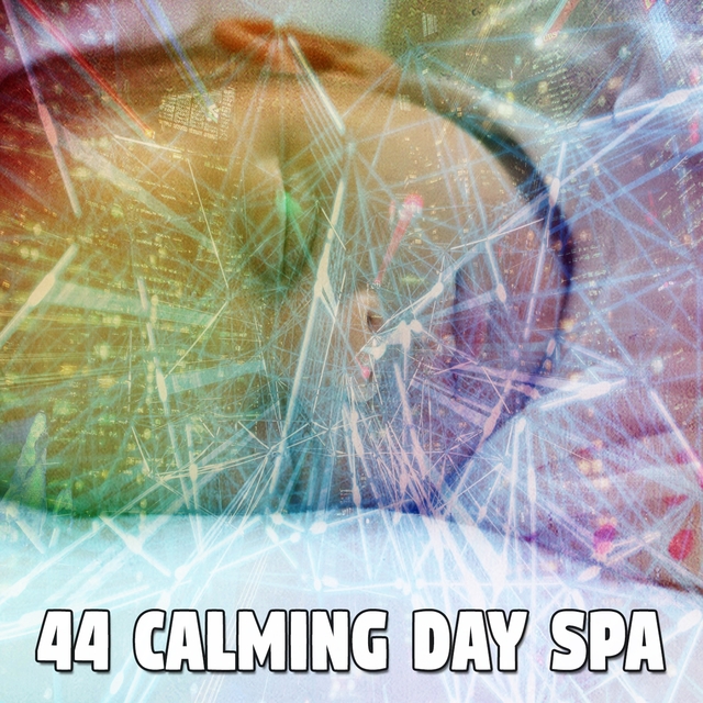 44 Calming Day Spa