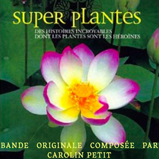 Couverture de Super Plantes