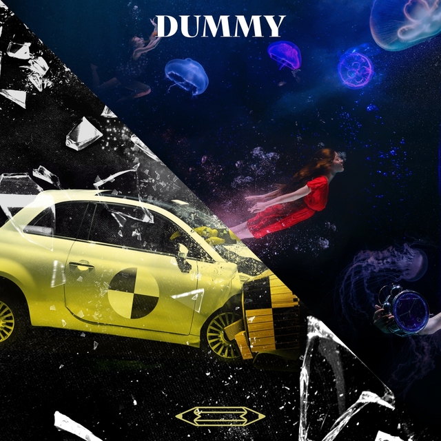 Couverture de Dummy