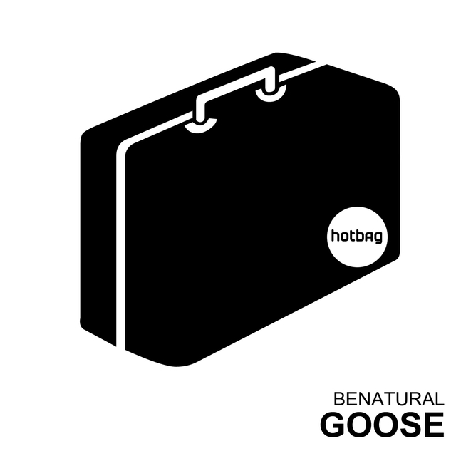 Couverture de Goose