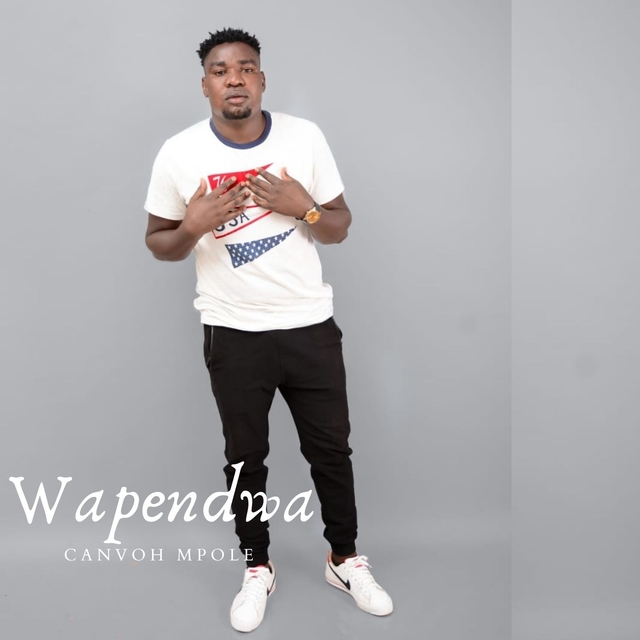 Couverture de Wapendwa