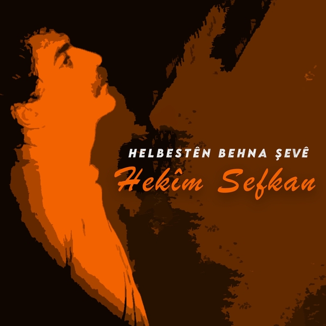 Couverture de Helbestên Behna Şevê