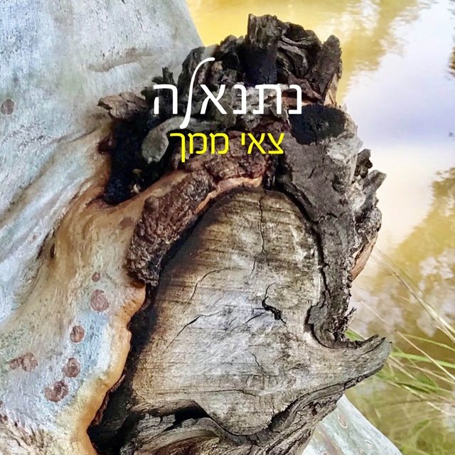 Couverture de צאי ממך