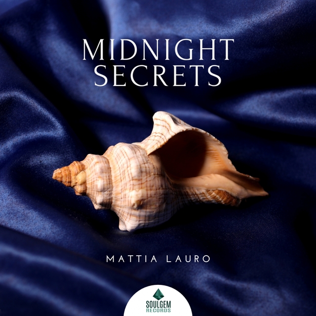 Couverture de Midnight Secrets