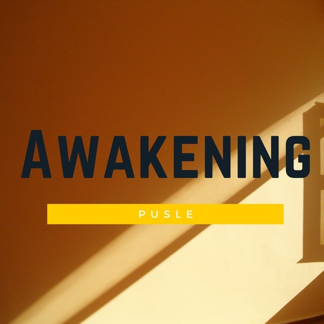 Couverture de Awakening pulse