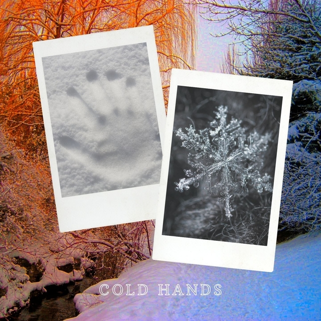 Couverture de Cold hands