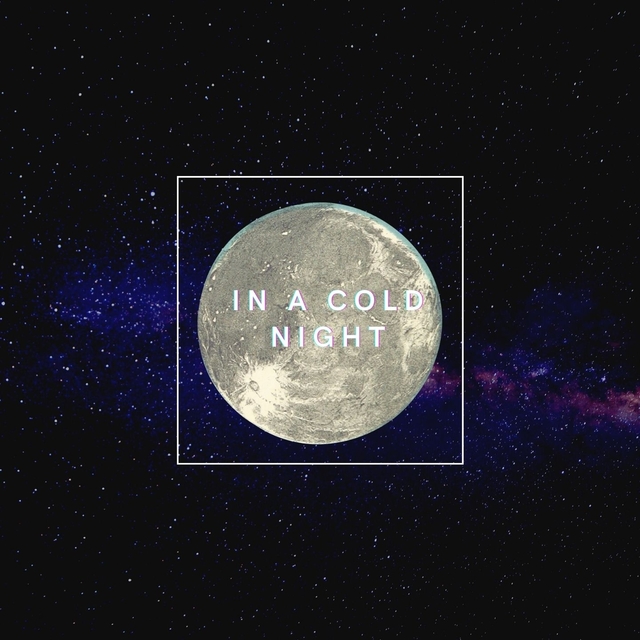 Couverture de In a cold night