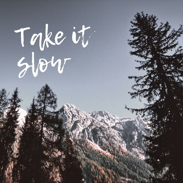 Couverture de Take it slow