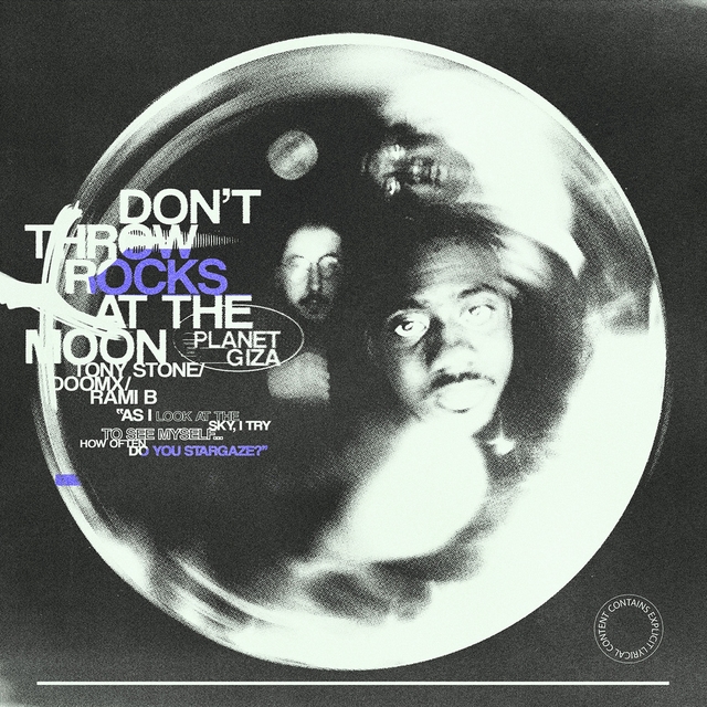 Couverture de Don't Throw Rocks At The Moon