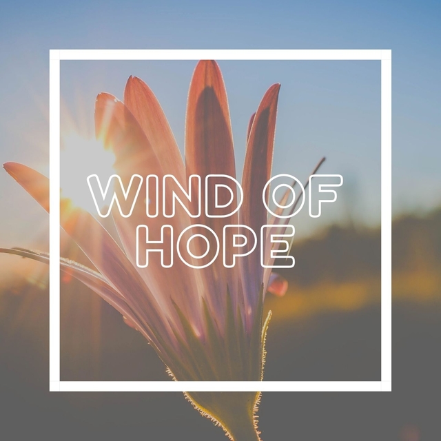 Couverture de Wind of Hope (Kalimba version)