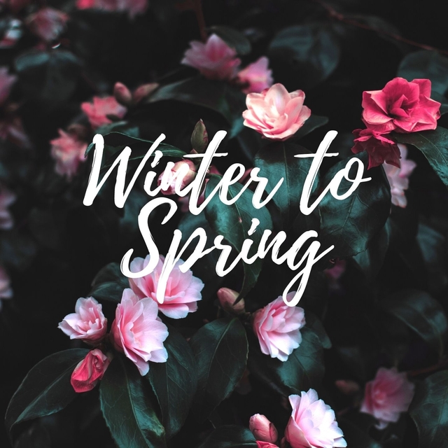 Couverture de Winter to Spring (Kalimba version)