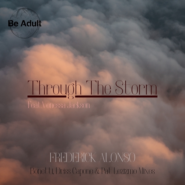 Couverture de Through the Storm