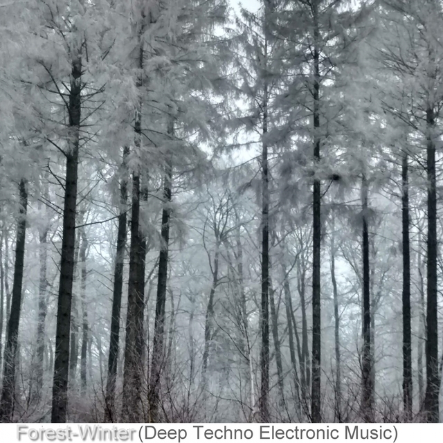 Couverture de Forest-Winter (Deep Techno Electronic Music), Vol. 3