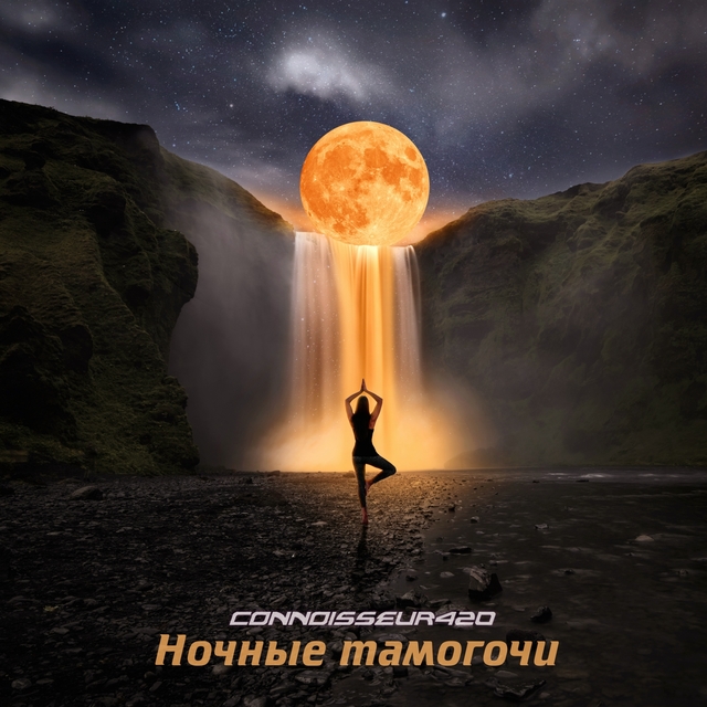 Couverture de Ночные тамогочи