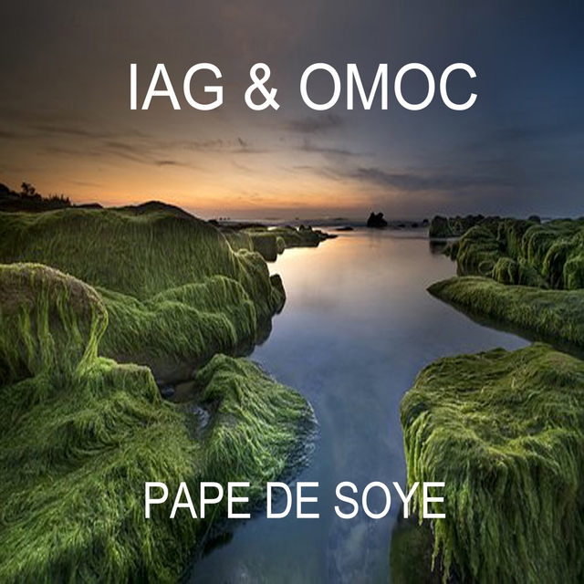 Couverture de Pape De Soye