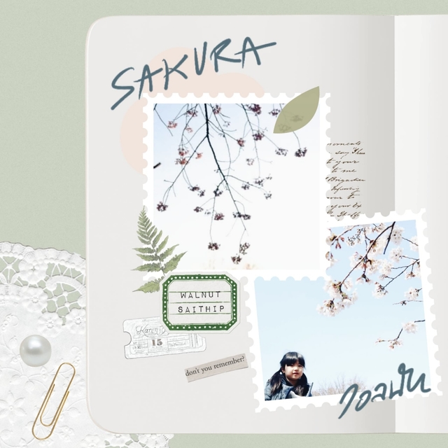 Couverture de SAKURA