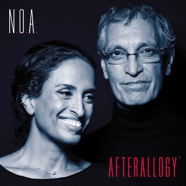 Couverture de Afterallogy