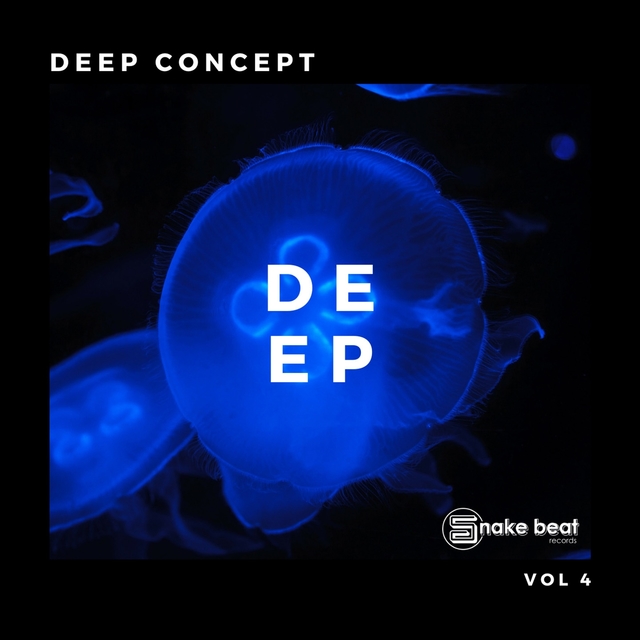 Couverture de Deep Concept vol 4