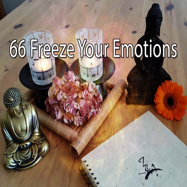 Couverture de 66 Freeze Your Emotions