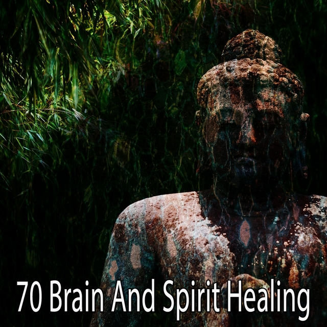 Couverture de 70 Brain and Spirit Healing