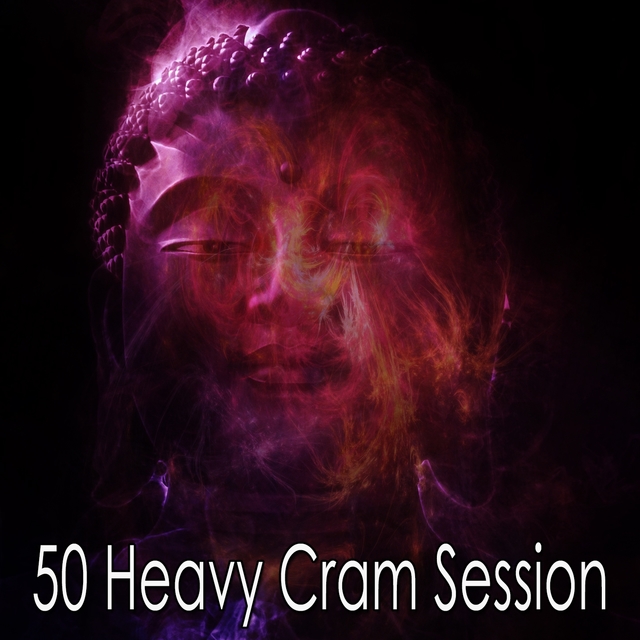 Couverture de 50 Heavy Cram Session