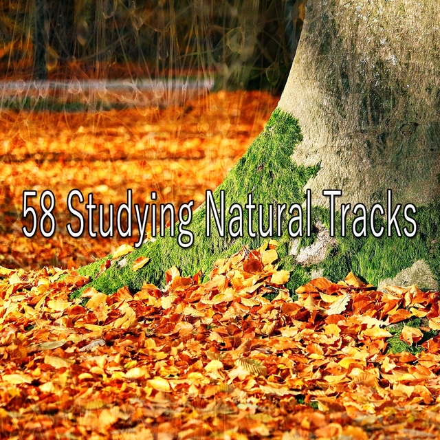 58 Studying Natural Tracks