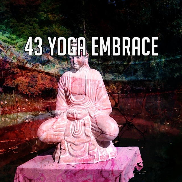 Couverture de 43 Yoga Embrace