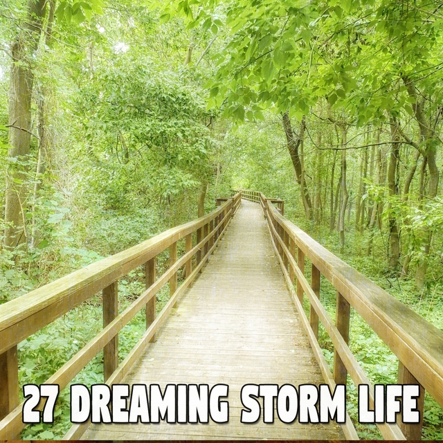 27 Dreaming Storm Life